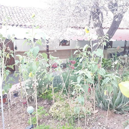 Casa Rural Semesterbostad Arona (Tenerife)